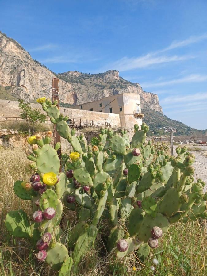 Giorgisa Διαμέρισμα Παλέρμο Εξωτερικό φωτογραφία